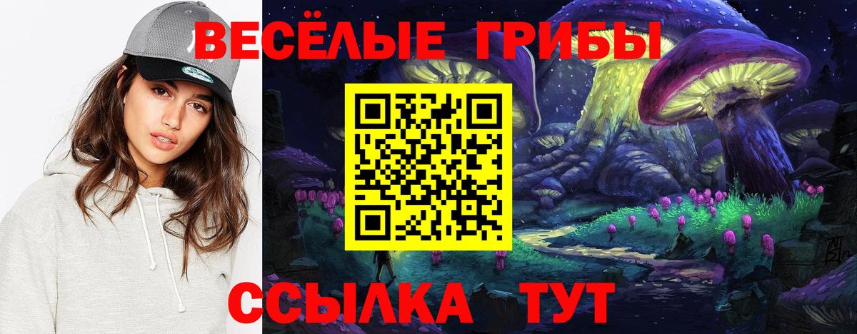 Псилоцибиновые грибы MAGIC MUSHROOMS Белгород
