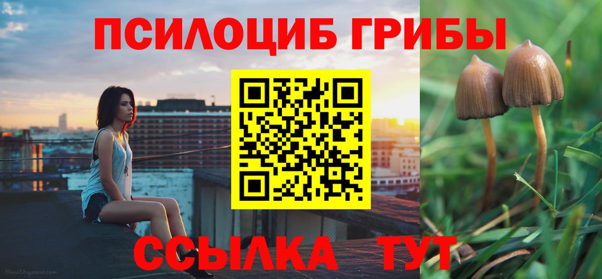 Псилоцибиновые грибы мицелий  Галлюциногенные грибы Magic Shrooms  Белгород  Вход с VPN 
